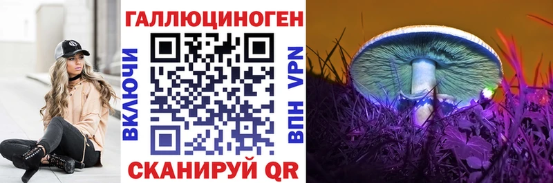 Купить закладки  Богородицк  Галлюциногенные грибы Psilocybine cubensis 